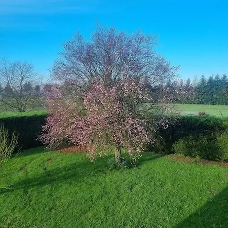 Mani Et Princesse A Partir De 2 A 6 Personnes *