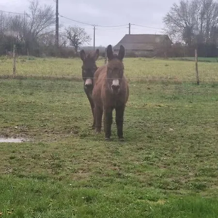 Mani Et Princesse A Partir De 2 A 6 Personnes * Sainte-Soline