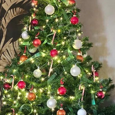 Mani Et Princesse A Partir De 2 A 6 Personnes Sainte-Soline